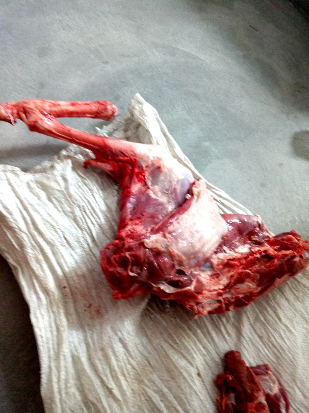 图片[2]-新鲜羊肉现杀现做就的味道就是不一样-聚微达人