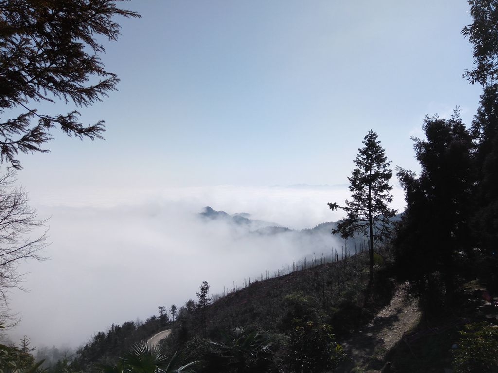 图片[1]-新年伊始-登山减脂，大雾深山行之【浮丘圣地】-聚微达人