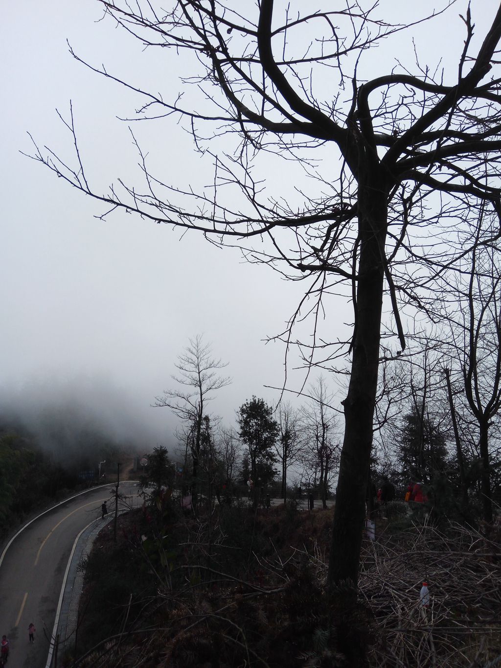 图片[5]-新年伊始-登山减脂，大雾深山行之【浮丘圣地】-聚微达人