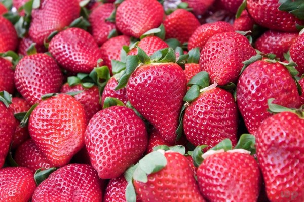 图片[2]-草莓、蓝莓、蔓越莓这几种营养水果你get了没，赶紧进来看看！-聚微达人